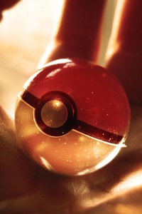 Pokemon Fever
