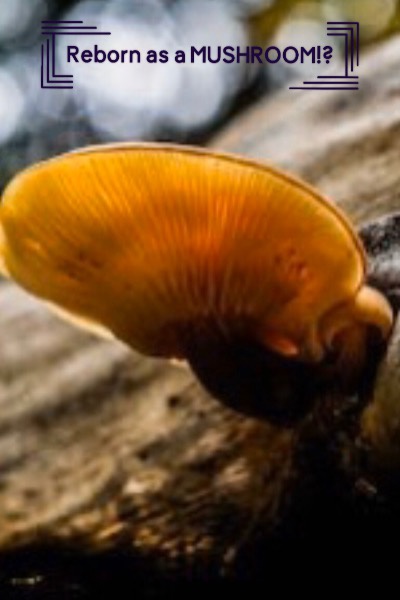 Reborn as a MUSHROOM!?