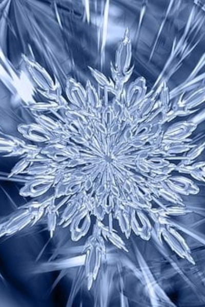 Heart of Ice (Pokémon SI Fanfic)