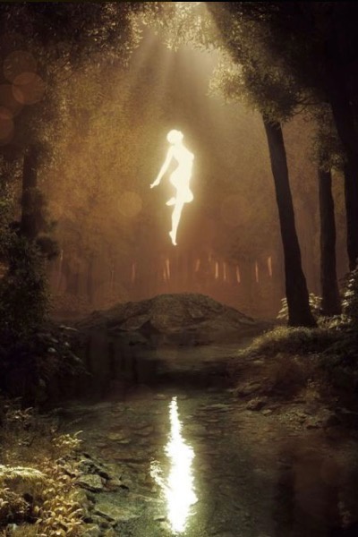 Hidden Wonder