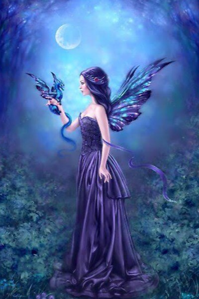 Fairy Princess Love: When She Enter That Realm