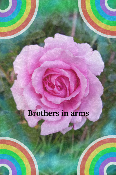 Brothers in arms
