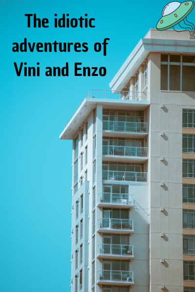 The idiotic adventures of Vini and Enzo