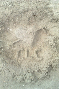 Book of TLC (Poem Book)