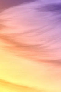 (Oneshot) How to become a dragon tribe's queen