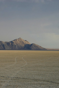 P.B.A. (Public Benefit Assassin)