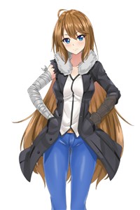 The Records of Eternity: The Traveller of Worlds