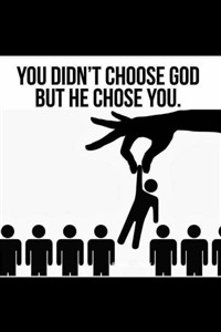 Select Your Story