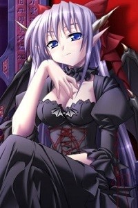 The Demon Lord's Problems