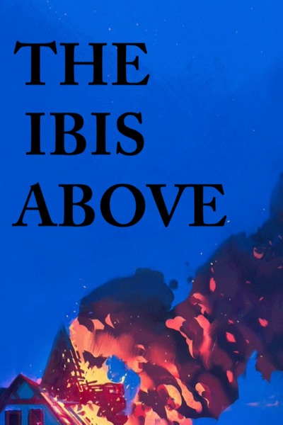 The Ibis Above